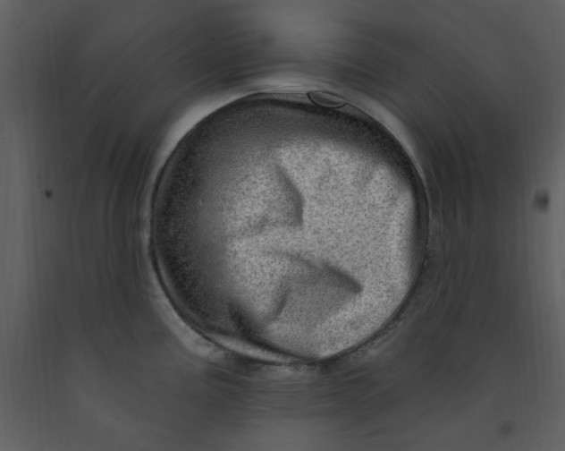 X0000093261195200710171441