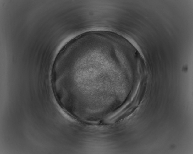 X0000093261197200710171441