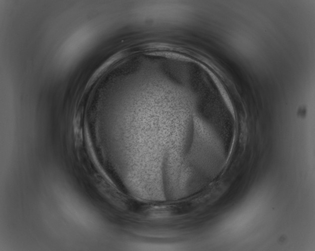 X0000093261198200710171441