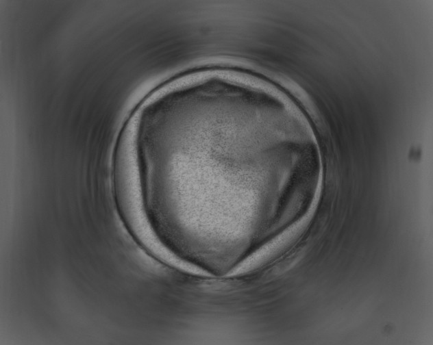 X0000093261199200710171441