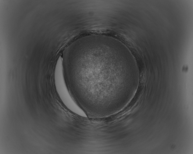 X0000093261202200710171441