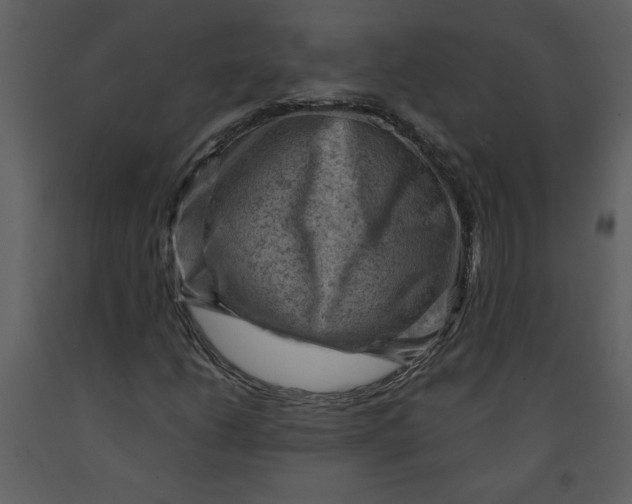 X0000093261206200710171441