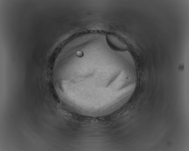 X0000093261207200710171441