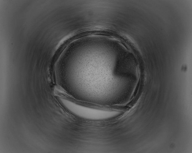 X0000093261210200710171441