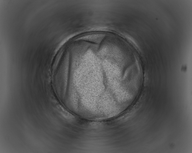 X0000093261212200710171441