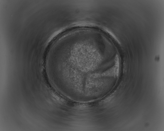 X0000093261213200710171441