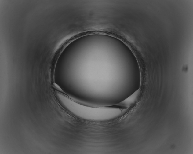 X0000093261214200710171441