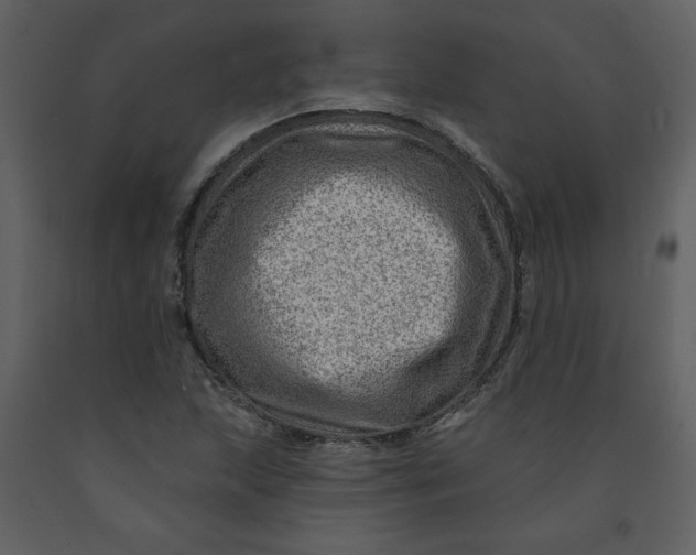 X0000093261215200710171441