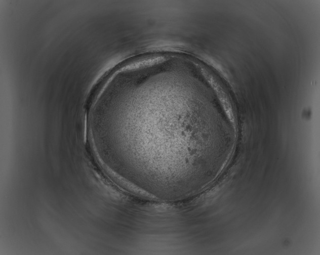 X0000093261219200710171441