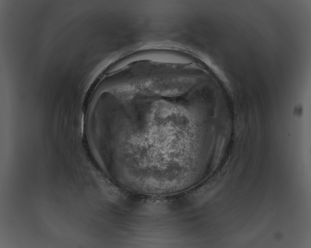 X0000093261221200710171441