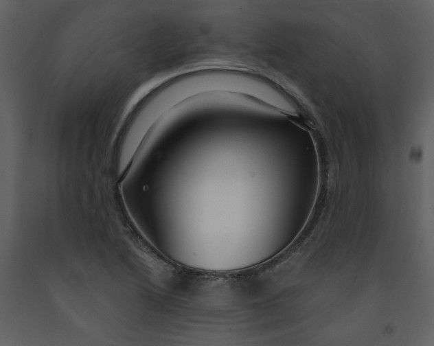 X0000093261222200710171441