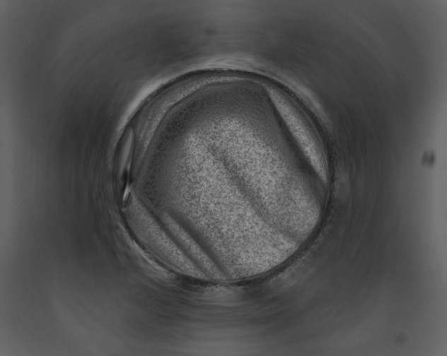 X0000093261224200710171441