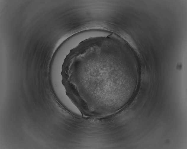 X0000093261226200710171441