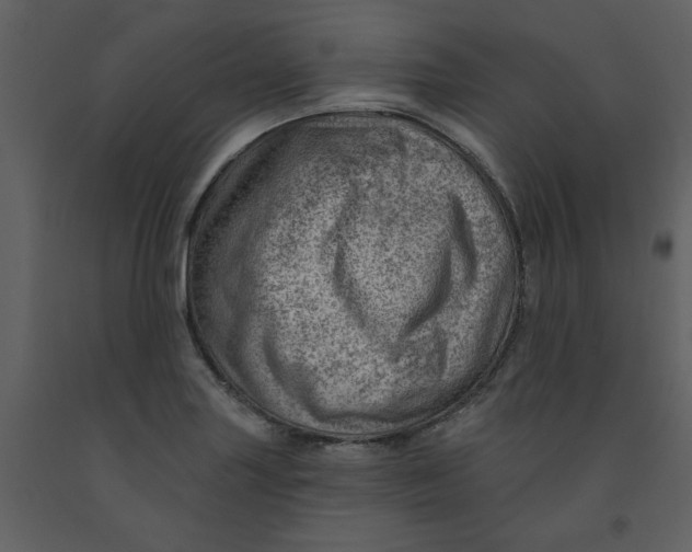 X0000093261227200710171441