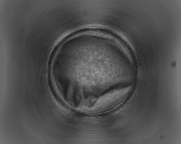 X0000093261229200710171441