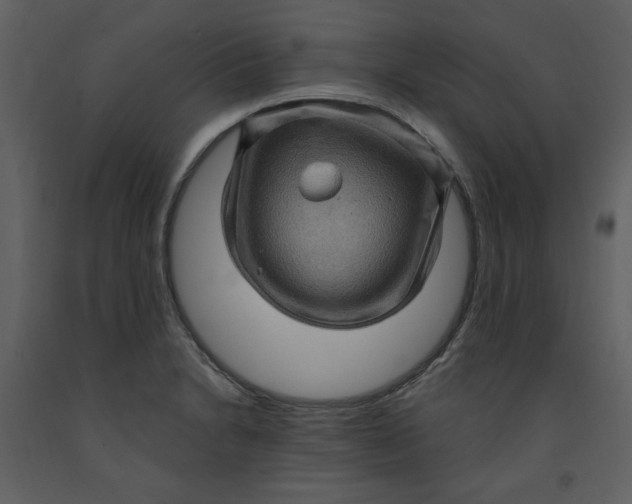 X0000093261230200710171441