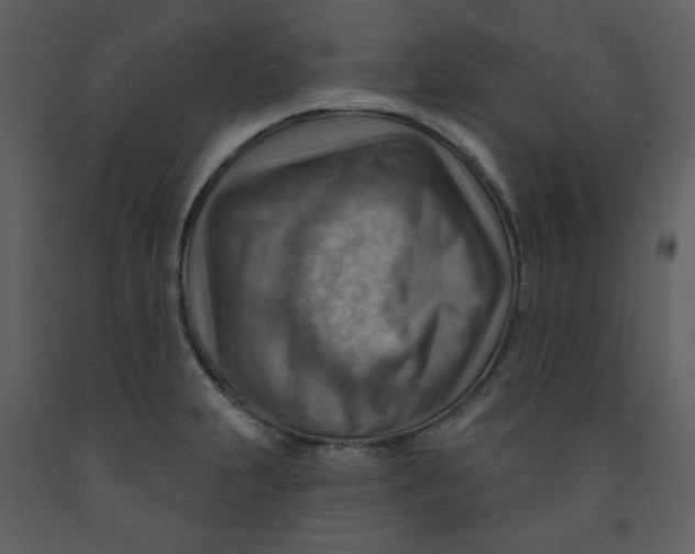 X0000093261231200710171441