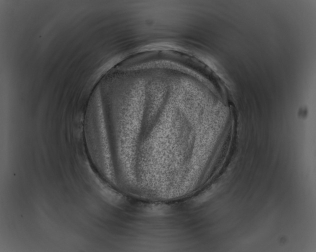 X0000093261233200710171441