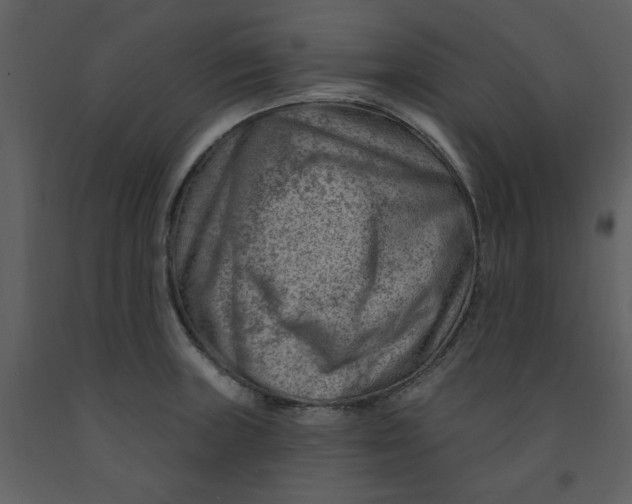 X0000093261235200710171441