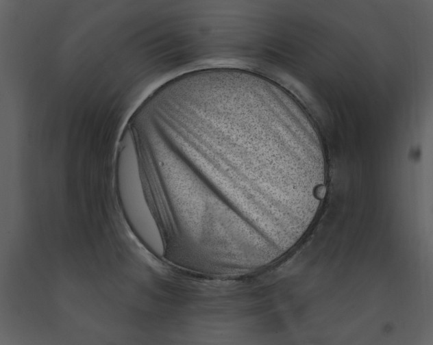 X0000093261236200710171441