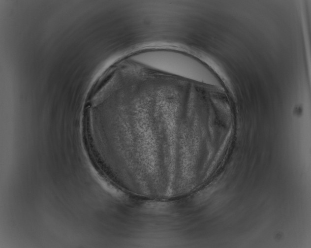 X0000093261237200710171441