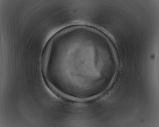 X0000093261239200710171441