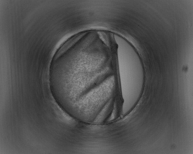 X0000093261240200710171441