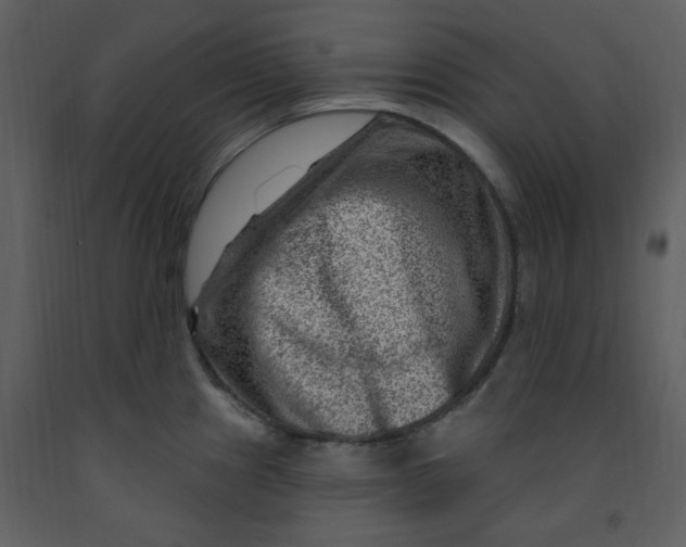 X0000093261241200710171441