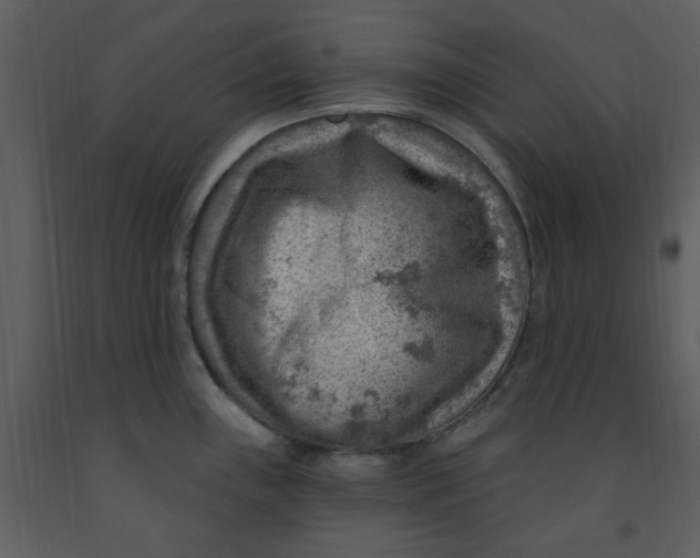 X0000093261243200710171441