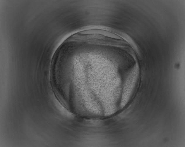 X0000093261244200710171441