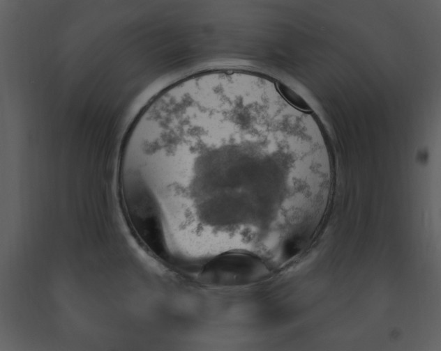 X0000093261245200710171441