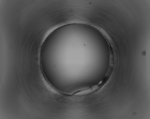 X0000093261246200710171441