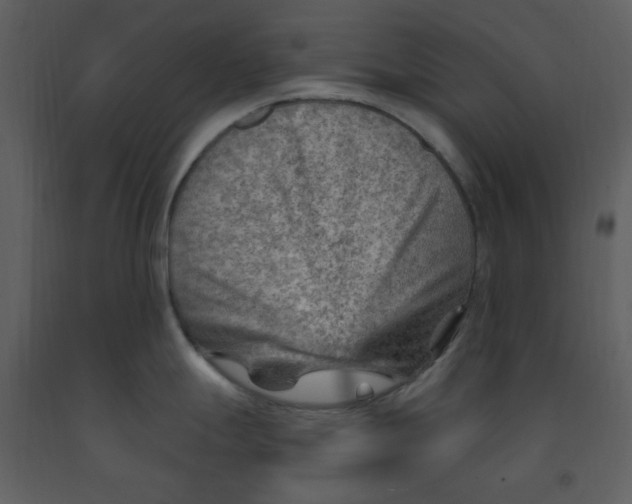 X0000093261247200710171441