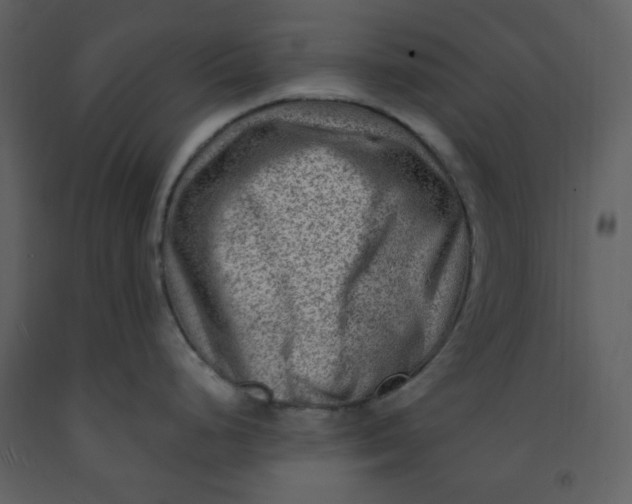 X0000093261248200710171441