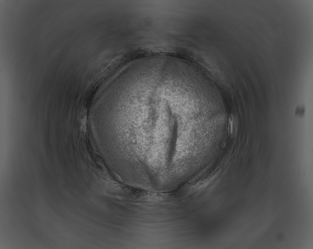 X0000093261251200710171440