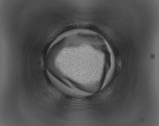 X0000093261252200710171440