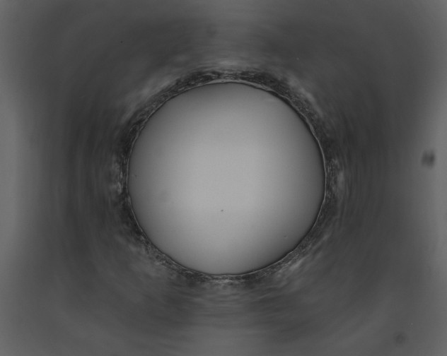 X0000093261253200710171440