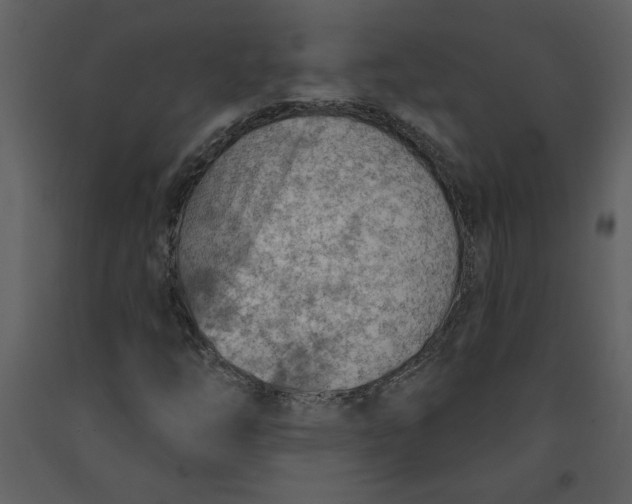 X0000093261254200710171440