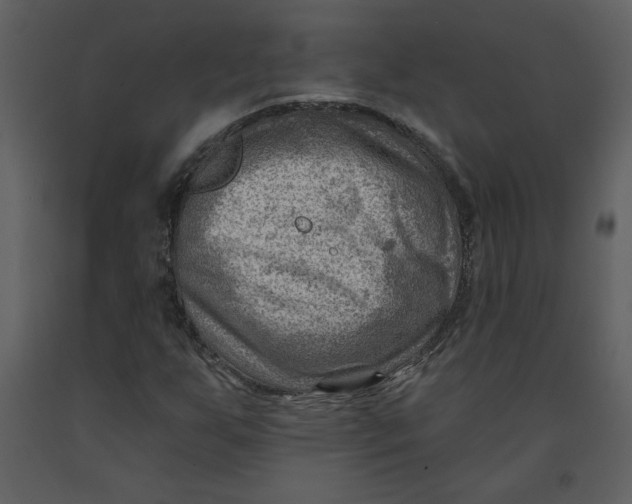 X0000093261255200710171440