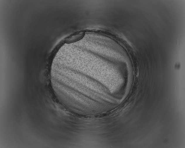 X0000093261256200710171440