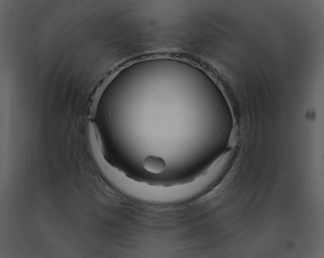 X0000093261257200710171440