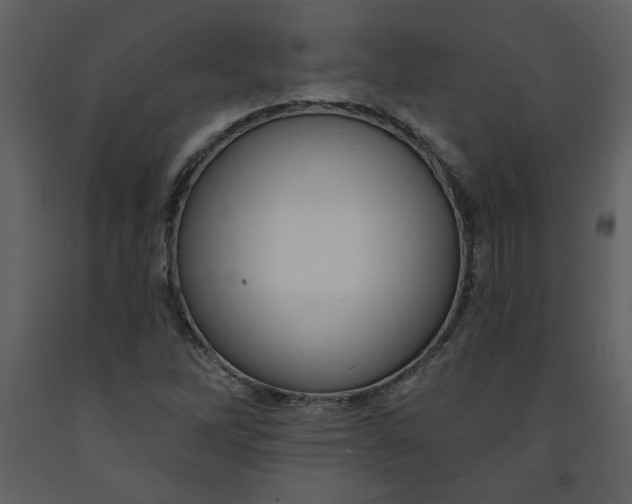 X0000093261262200710171440