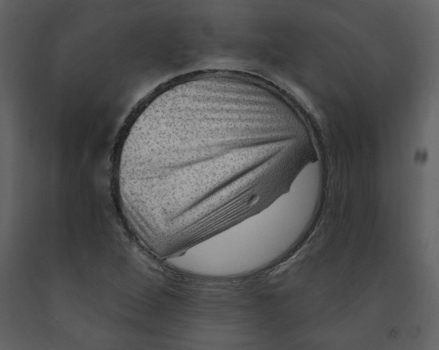 X0000093261264200710171440