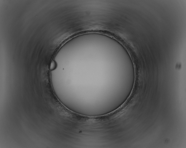 X0000093261265200710171440