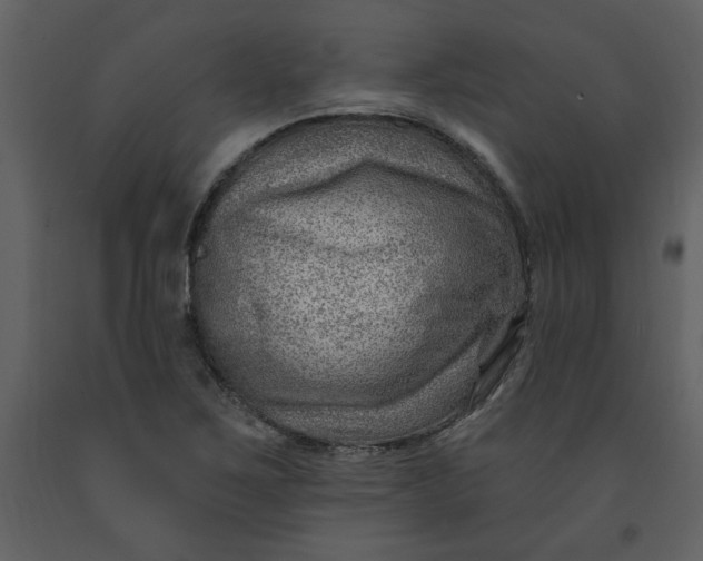 X0000093261267200710171440