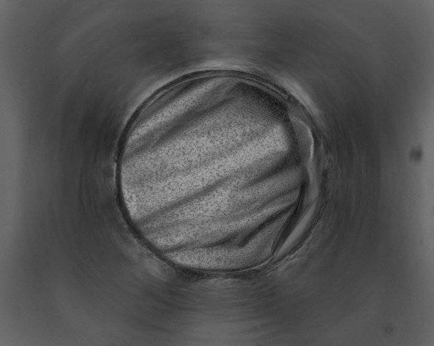 X0000093261268200710171440