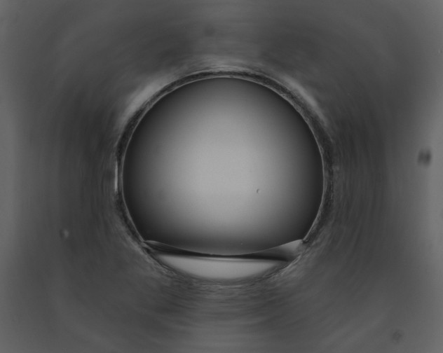 X0000093261269200710171440