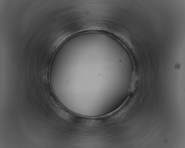 X0000093261273200710171440