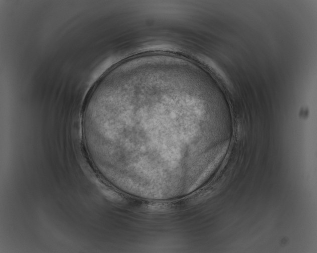 X0000093261274200710171440