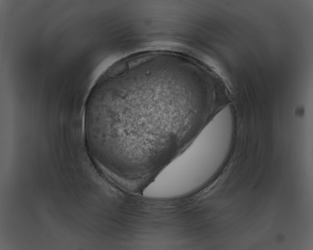 X0000093261275200710171440